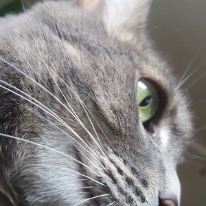 Meet your Posher, Edyth